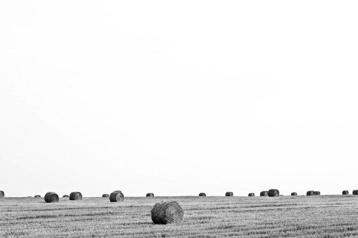 A Field in texas